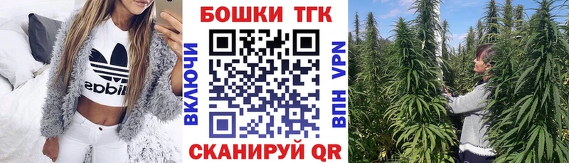  COCAIN Юрга