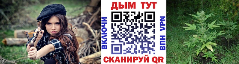 где продают   Юрга  Бошки Шишки ГИДРОПОН 